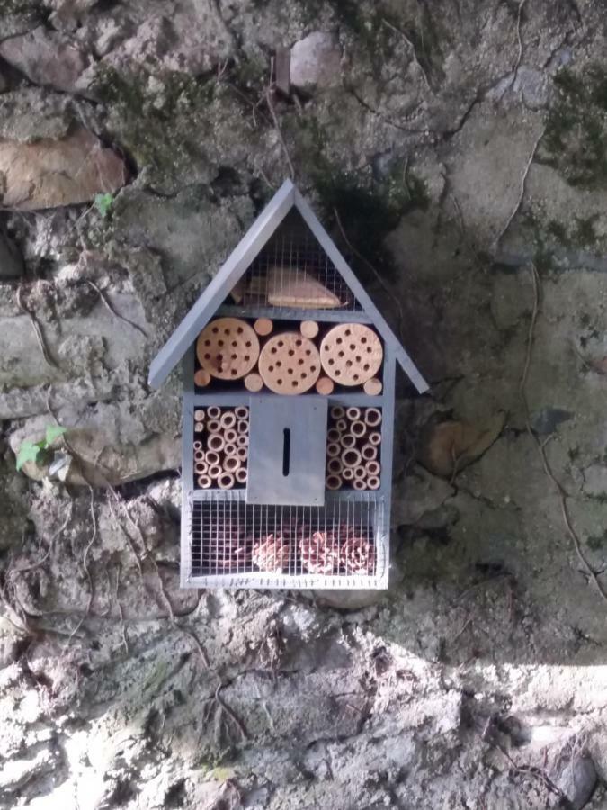 Les Copains D'Abord Vila Beaucroissant Exterior foto